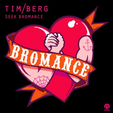 Carátula - Tim Berg - Seek Bromance (Avicii's Vocal Remix)