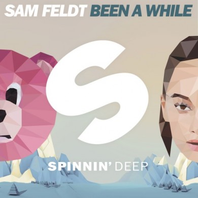 Carátula - Sam Feldt - Been A While