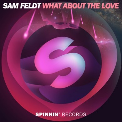 Carátula - Sam Feldt - What About The Love