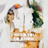 Carátula de Armin Van Buuren & Nicky Romero - I Need You To Know