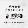 Carátula de PS1 feat. Alex Hosking - Fake Friends