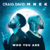 Carátula de Craig David feat. MNEK - Who You Are