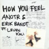 Carátula de ANOTR & Erik Bandt feat. Leven Kali - How You Feel