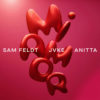 Carátula de Sam Feldt - Mi Amor