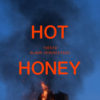 Carátula de Tiesto & Alana Springsteen - Hot Honey